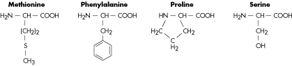 amino acid #4