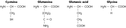 amino acid #2